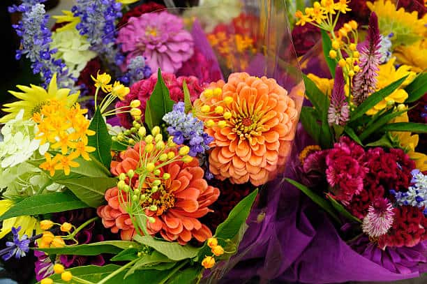 istockphoto-182848692-612x612