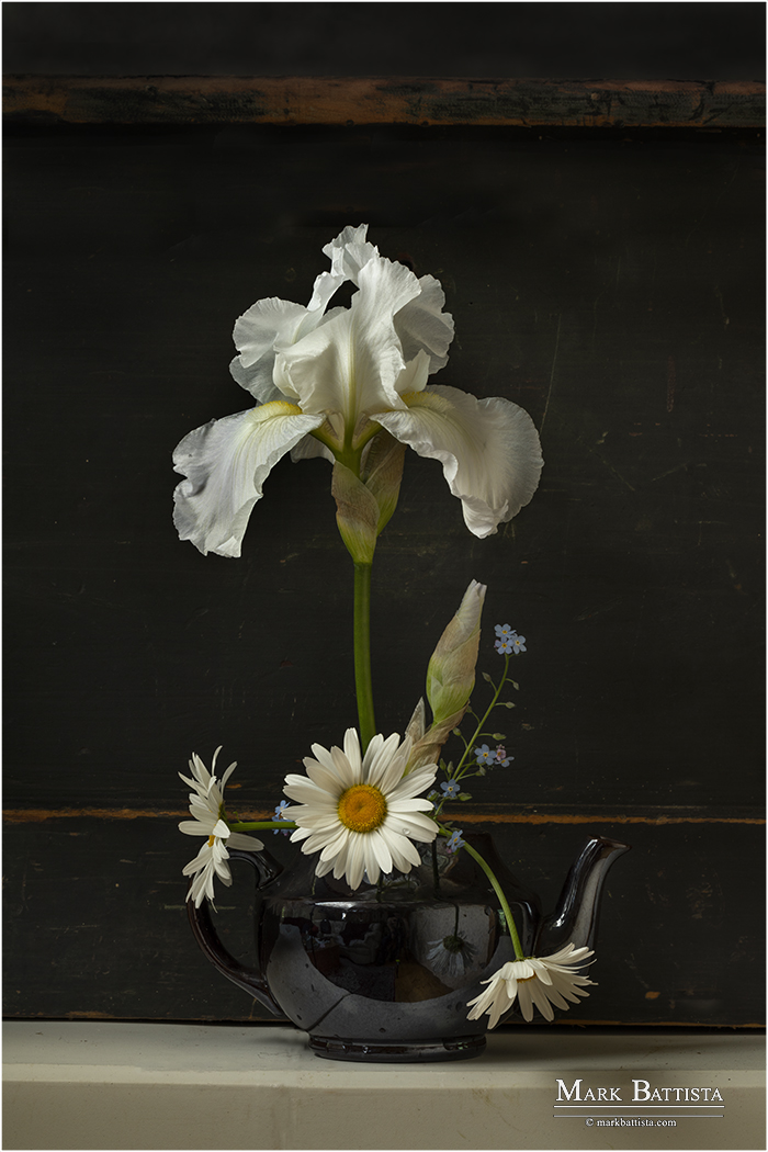 _R3A4530 IRIS AND TEAPOT web
